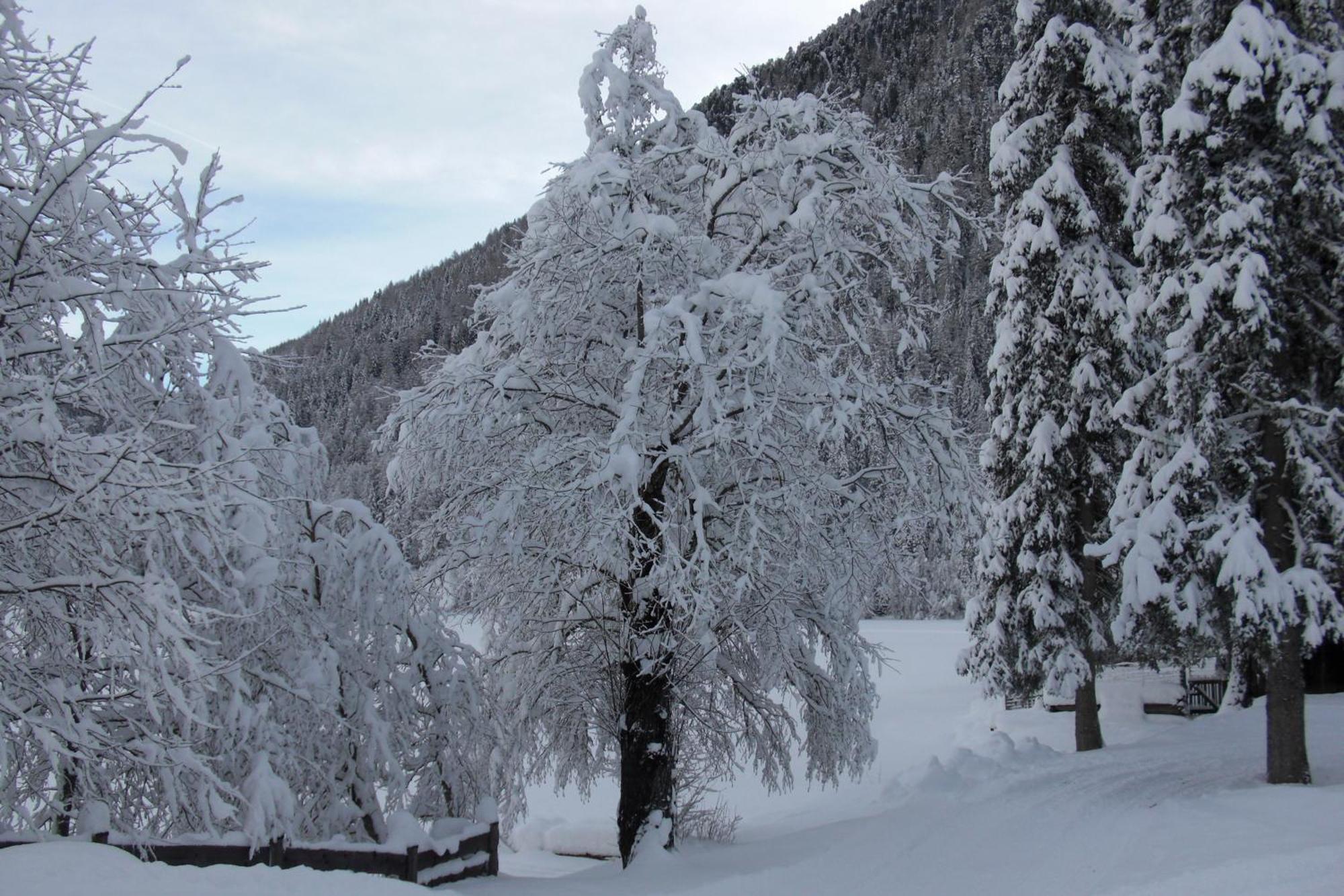 Hotel Seehaus - Only Adults - Mountain Lake Resort Antholz Mittertal Exterior foto